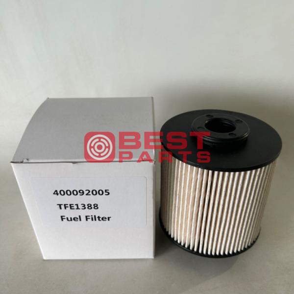 100% Professional Tested Excavator Fuel Filter 40009205 for Construction