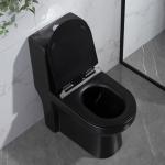 Low Profile American Standard One Piece Elongated Toilet Tall Black 1.6Gpf