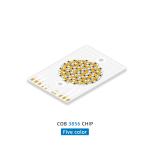 COB 3856 300w CCT 620nm/460nm/520nm/2700K /6500K Color COB LED Chip Lamp Beads