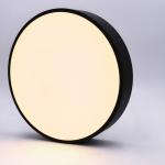 Black 18w 30w 36w Flush Mount Kitchen Dimmable LED Ceiling Lights