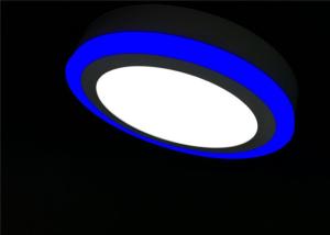 China Commercial IP40 Round 240mm SMD AC Double Color Surface LED Panel Light 24W factory