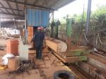 1200mm Wood Vertical Band Sawmill MJ3212 MJ3212B Wood Cutting Bandsaw