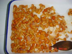 China Whole Nameko Mushroom Canning Fresh Vegetables In Jar Taste Salty Multi Size factory