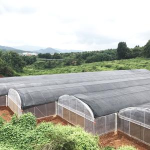 China Large Tunnel Plastic Film Single-span Agricultural Nursery Growing Greenhouse factory