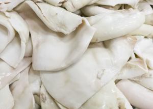 China frozen boiled giant squid fillet BQF Darumar origin China thickness 6-12mm frozen squid rings factory