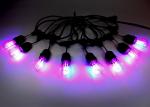 RGB Filaments S14 String LED Garden Festoon Lights