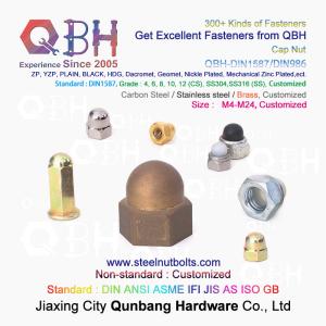 China QBH M4-M24 Carbon/Stainless Steel/Brass/Copper/Alloy Plain Black Yellow Blue Zinc Nickle Auto Part Cap Acorn Lock Nut factory
