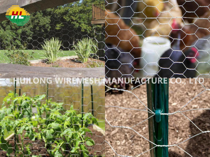 0.9x25x0.7mm Hexagonal Wire Netting For Poultry Fencing Garden Edging