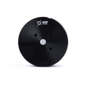 X4219 VTOL Drone Brushless DC Motor