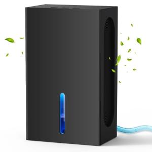 China Crawl Space and Basement Dehumidifiers With Removable Water Tank▕ DN-610 factory