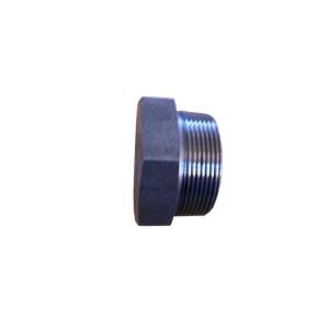 China High Pressure 3000 PSI Q235 Stainless Steel Forged Fittings factory