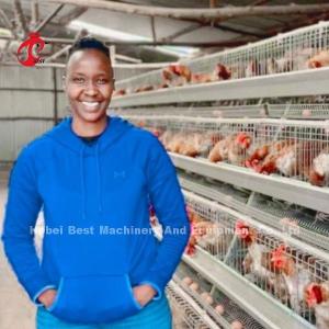 China Galvanized Steel Layer Chicken Cage System Sandy factory