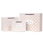 Boutique Craft Paper Gift Bags , Cute Goodie Bags White Paper Board