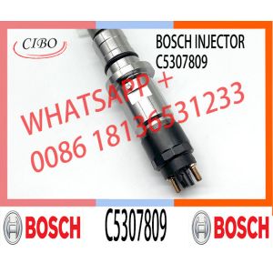Diesel Fuel Injector Common Rail Injector Assembly 0445120377 5307809 C5307809
