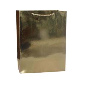 China Gold color gloss fancy paper bag glitter gift bags shoes packaging factory