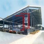 Modern Light Steel Frame Horse Barns , Steel Structure Building Cattle Shed