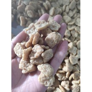 Delta ABB Vegetarian Meat Soybean Protein Machine Soya Extruder 1500kg