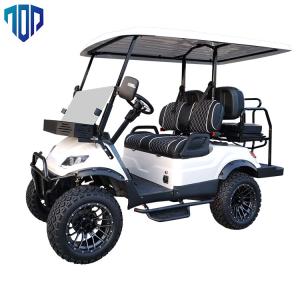China 25mph Electrical Golf Cart , Customizable Color TOP Golf Car EV.2+2G factory