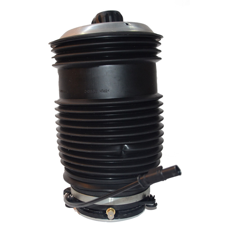 2133200125 2133200225 Mercedes Benz W213 E - Class C238 E - Coupe W253 GLC CLS W257 C257 Rear Air Suspension Spring