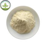 China Supplier Frozen Apricot Fruit Powder In Bulk Stock