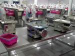 Shrimp back opening machine Electric Fast Shrimp Cutting Machine