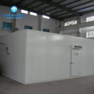 China Customizable Assembled Cold Room Storage for Production of Fruits and Vegetables factory