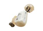 Auto Fuel Pump Assembly 77020-0K390 For Hilux / 4Runner Truck TGN120 / 121 / 126