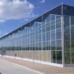 Hydroponic System Vegetable Venlo Glass Greenhouse Fully Automated Ventilation