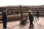 China Lumber petrol chain saw wood cutting machine, Wood Slasher Machine