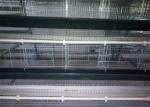 1500mm Width Egg Laying Chicken House Galvanized Steel Cage For Layers Chickens