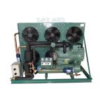 Stationary Cold Storage Compressor Piston Type AC Power One Year Warranty