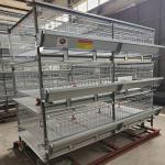 Modern Farm 150 / 200 Birds Broiler Chicken Cage Q235A Steel Wire Material