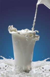 China Food Additives Natural Emulsifiers For Food (DMG) Distilled Monoglyceride DH-Z80 factory