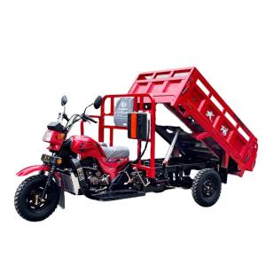China Standard Size Tri Bike Model Tuk Tuk South Africa Mini Dumper Strong Power Cargo Tricycle factory