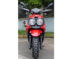 Automatic Clutch 150CC Adult Motor Scooter 4 Stroke Scooter CVT 8.5n.m / 4000rpm
