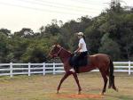 Waterproof Outside Vinyl Plastic For Ranch Fence Paddock Fencing