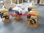 Construction Machine Air Cooled Engine Power Gasoline Electric Concrete Vibrator