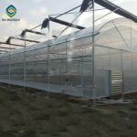 Anti UV ASTM D882 6m Polyethylene Film Greenhouse