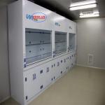Wall Mounted Chemical Fume Hood Lab Draught Hood with Noise ≤60dB and Installati