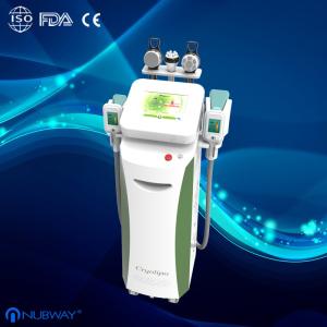 China Multi-function cryolipolysis slimming machine for clinic manufacturer factory