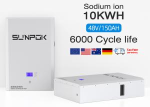 China SP-48100-BG-NA Sodium Ion Battery With UN38.3 Certification factory
