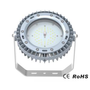 China Low THD 45W 60W 80W Industrial LED Flood Light Flameproof Long Lifespan factory