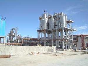 China Fruit Concentrate 25 T/H SS304 Tomato Paste Evaporator factory
