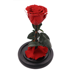 Wedding Decoration Transparent Glass Dome Flower With No Humidity / No Direct Sunlight