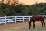 Heavy Duty 3Rails Horse PVC Farm Fence Plastic Vinyl Ranch Paddock Horse Fence