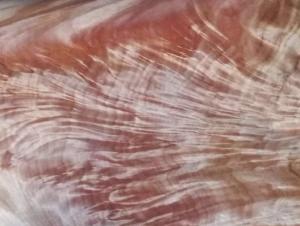 China Okoume Crotch Figured Natural Wood Veneer Length 40cm To 2.7m factory