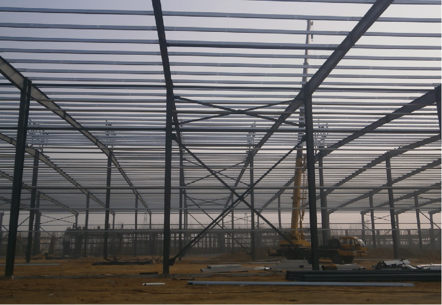 Food Workshop Q355B Steel Frame Building Construction Prefabricated Steel Packing Warehouse