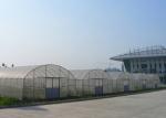 8m Single Span Plastic PE Film Greenhouse With Hydroponic System Cooling System