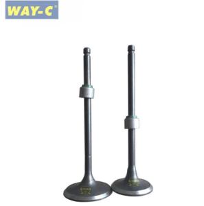 China 36JZ0001 Motorcycle Engine Valve Set Intake Exhaust Valve For BAJAJ BOXER BM150 factory
