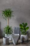 Classic Polygon Planter